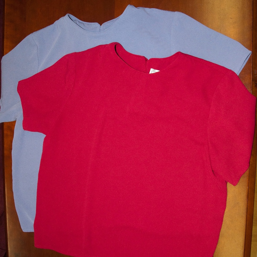 Two Dress Barn dress shirts size Med in great cond